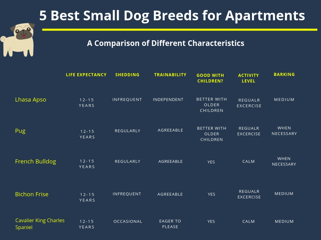 A Comprehensive Comparison Cart of 5 Small Dog Breeds for Apartments for Families with Kids