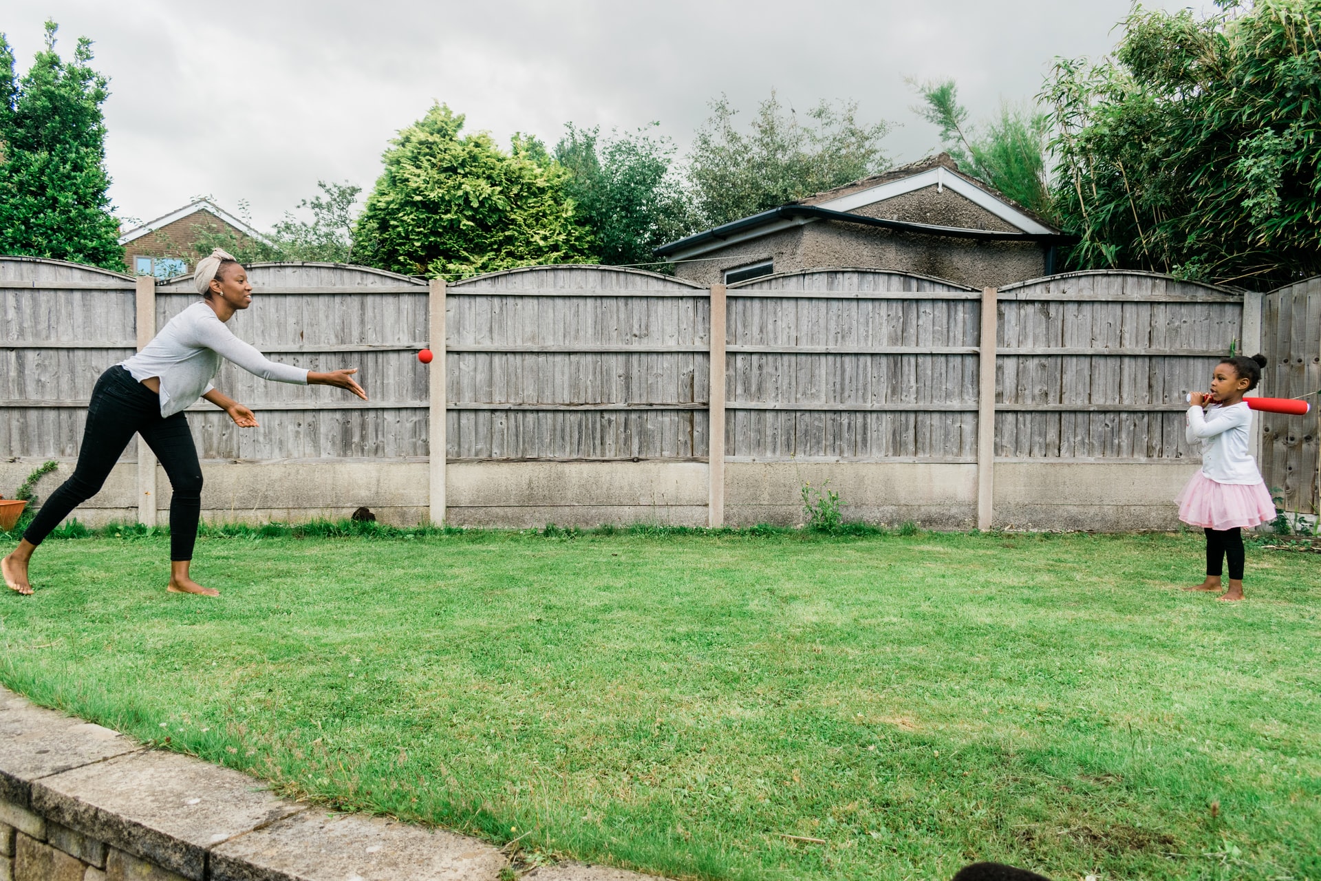 Build a fence