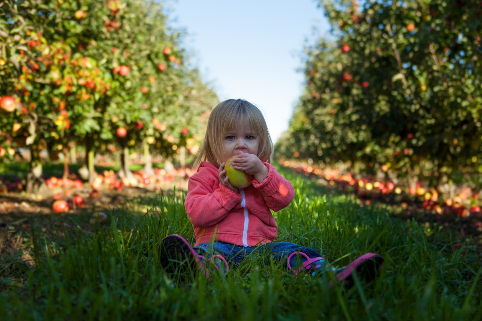 packing food while traveling with toddlers