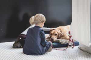 pets teach responsibility