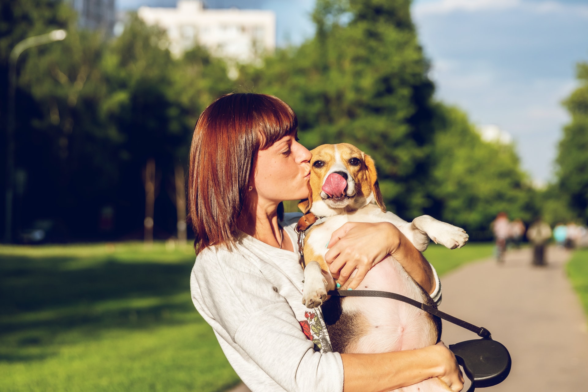 caring for dogs with disabilities