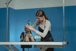 Dog groomer